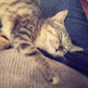 Meet your Posher, Ariel